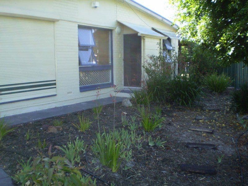116 Dorothy Street, GOSNELLS WA 6110, Gosnells - Thumbnail 7