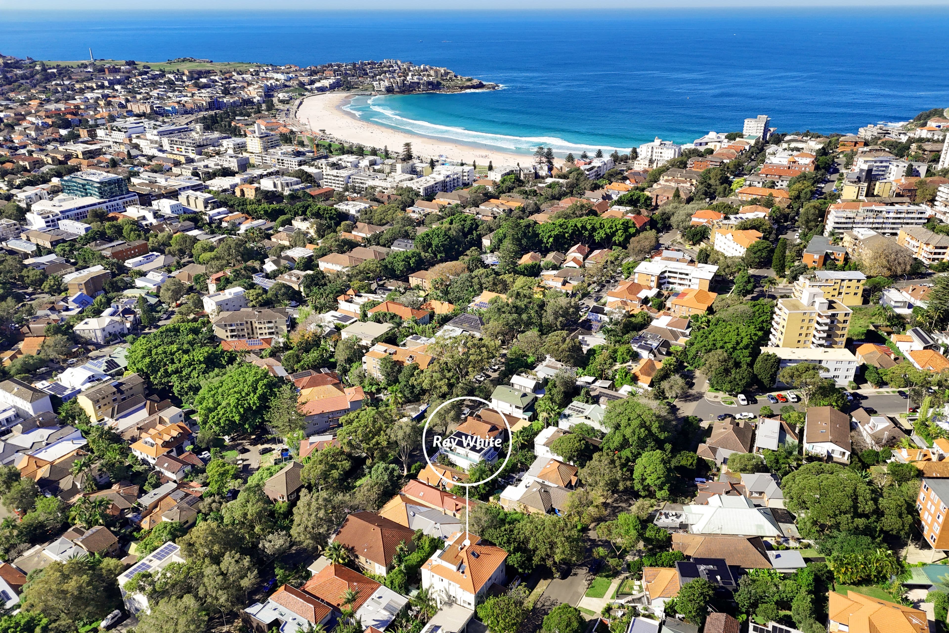 41 Edward Street, Bondi Beach NSW 2026, Bondi Beach - Thumbnail 7
