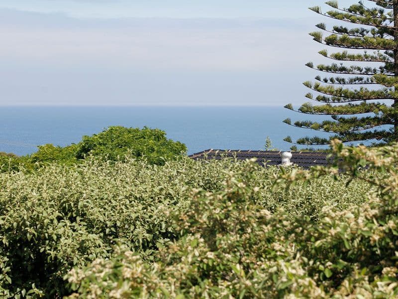 11 Albert Street, SEACLIFF PARK SA 5049, Seacliff Park - Thumbnail 2
