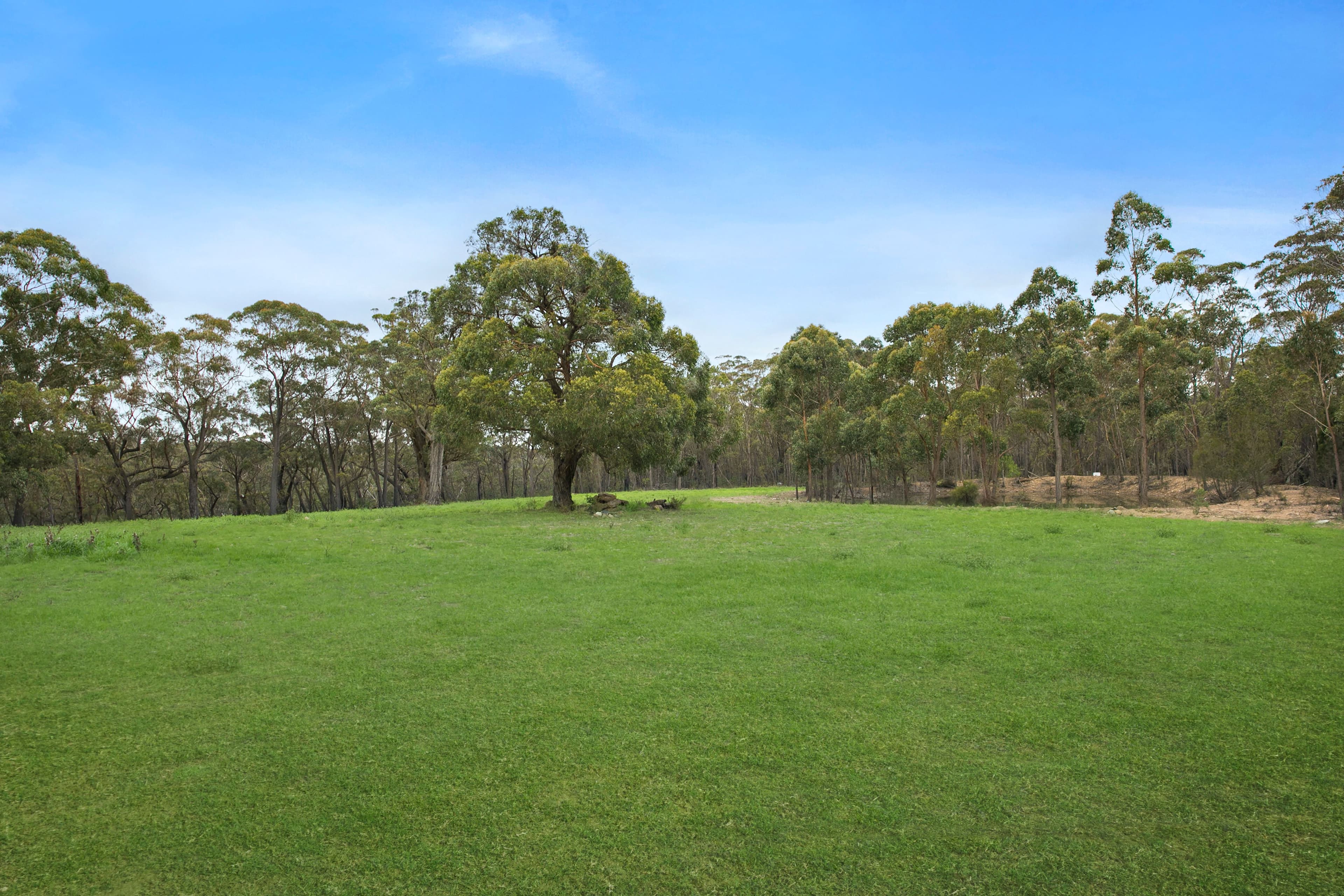 176 Crawford Road, Alpine NSW 2575, Alpine - Thumbnail 4