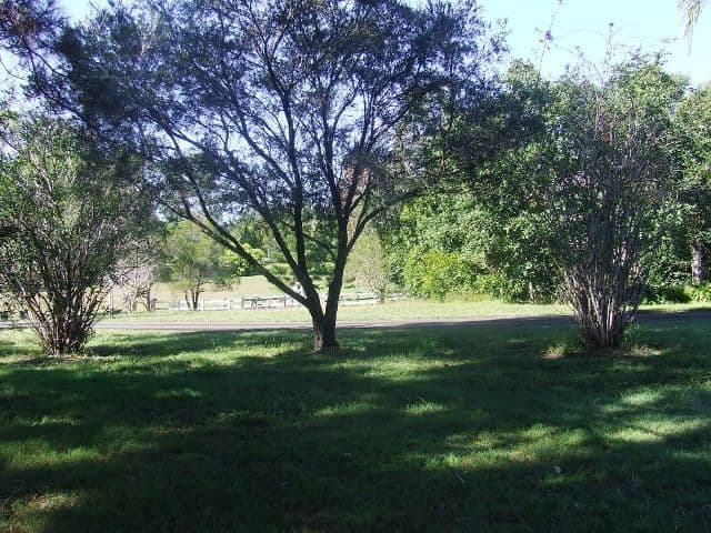 TALLAI QLD 4213, Tallai - Thumbnail 4