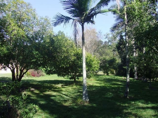 TALLAI QLD 4213, Tallai - Thumbnail 5