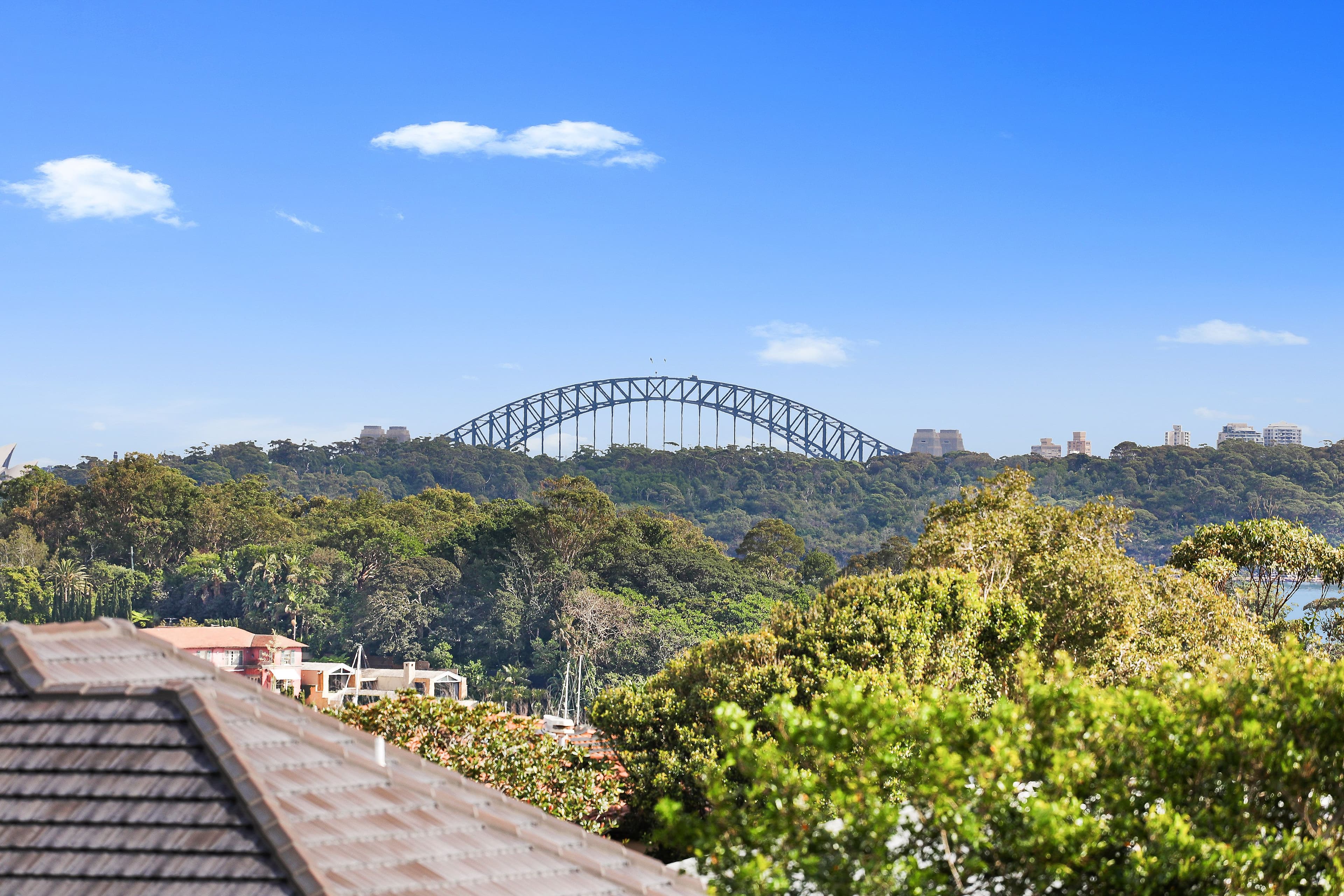 173 Hopetoun Avenue, Vaucluse NSW 2030, Vaucluse - Thumbnail 5