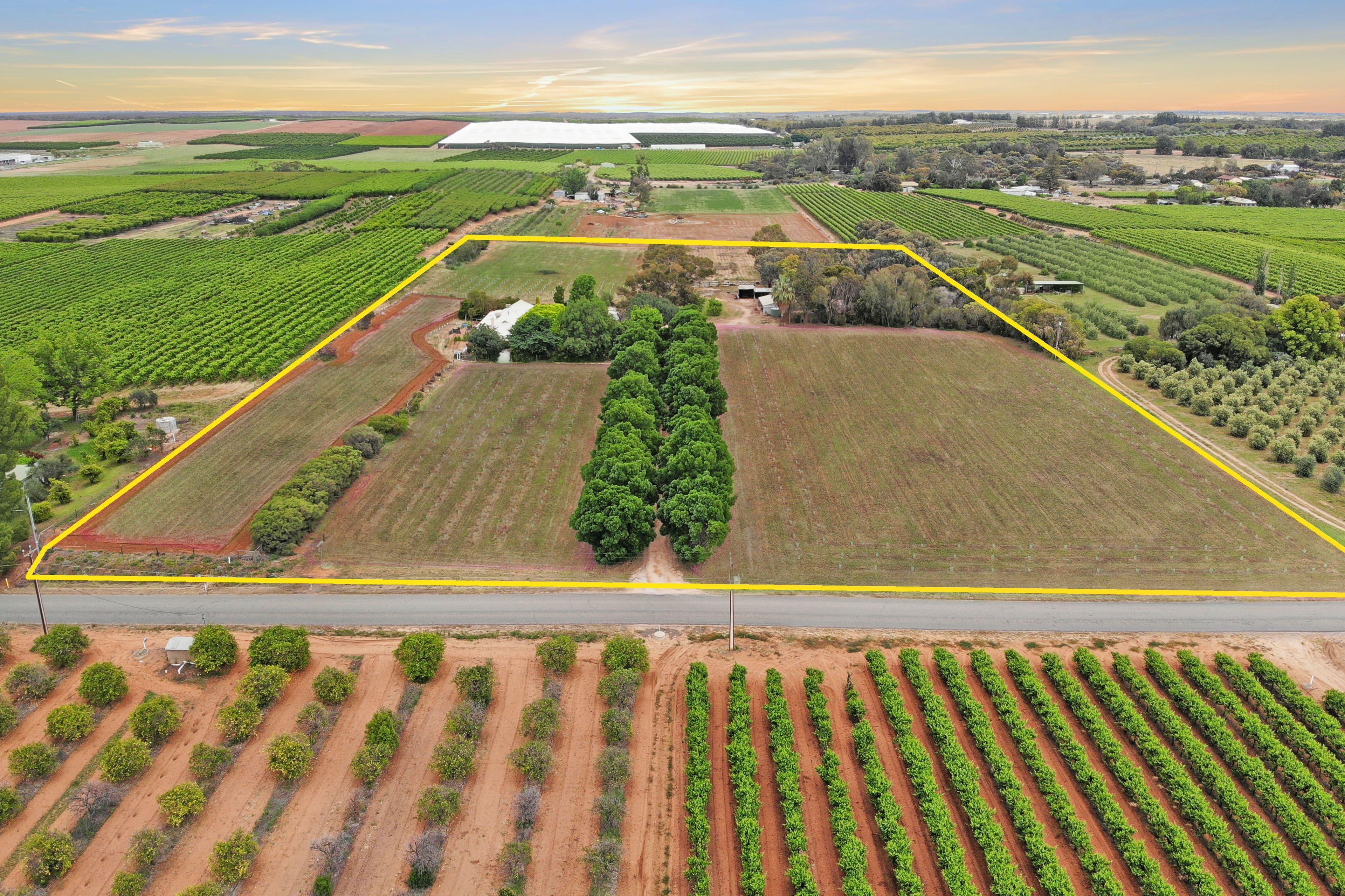 458 Chowilla Street, Renmark SA 5341, Renmark West - Thumbnail 3