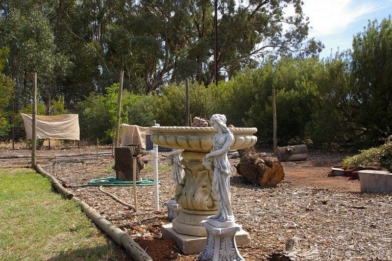 523 Kulkyne Street, Renmark SA 5341, Renmark West - Thumbnail 4
