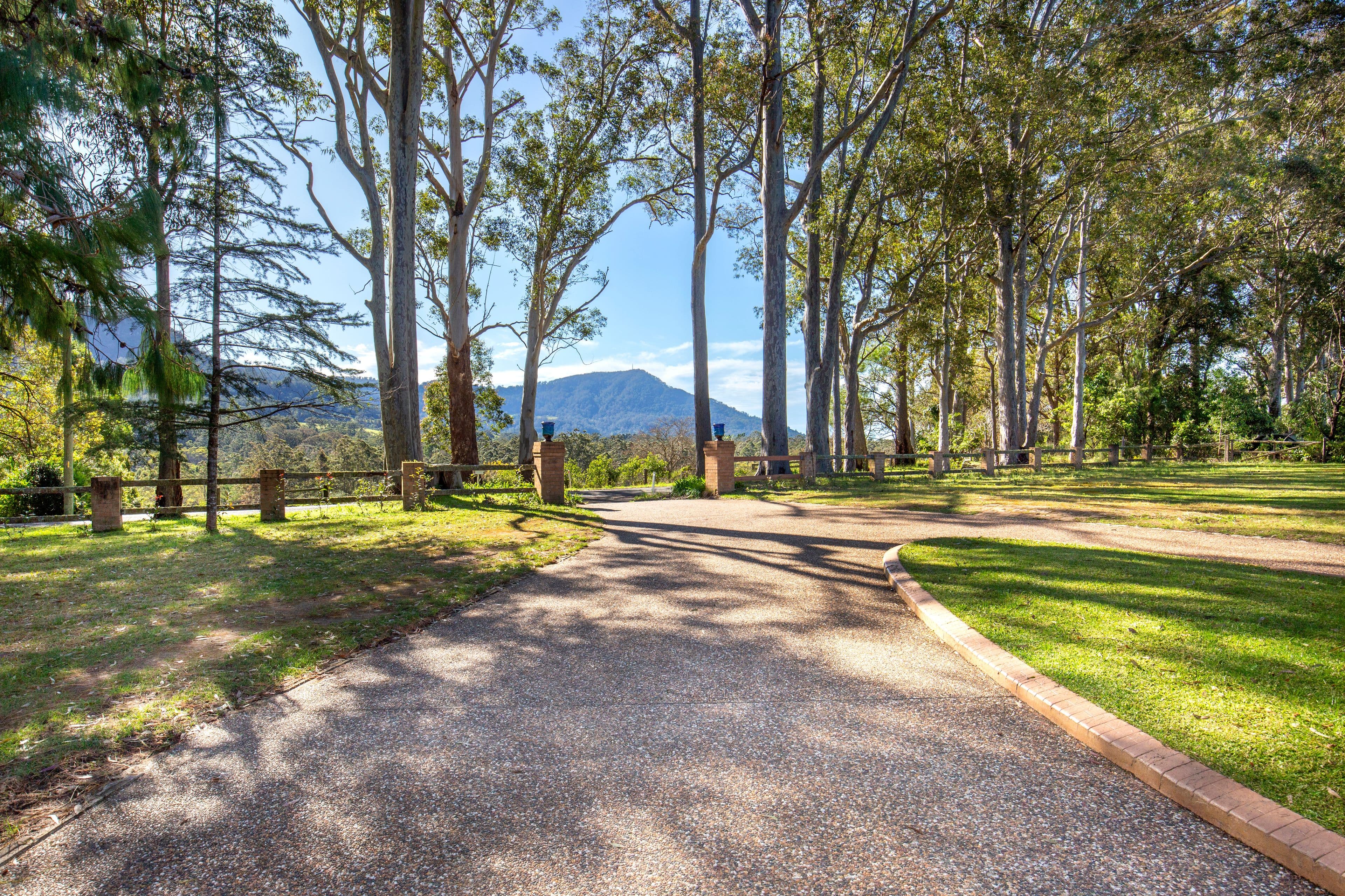 39 Browns Mountain Road, Tapitallee NSW 2540, Tapitallee - Thumbnail 2