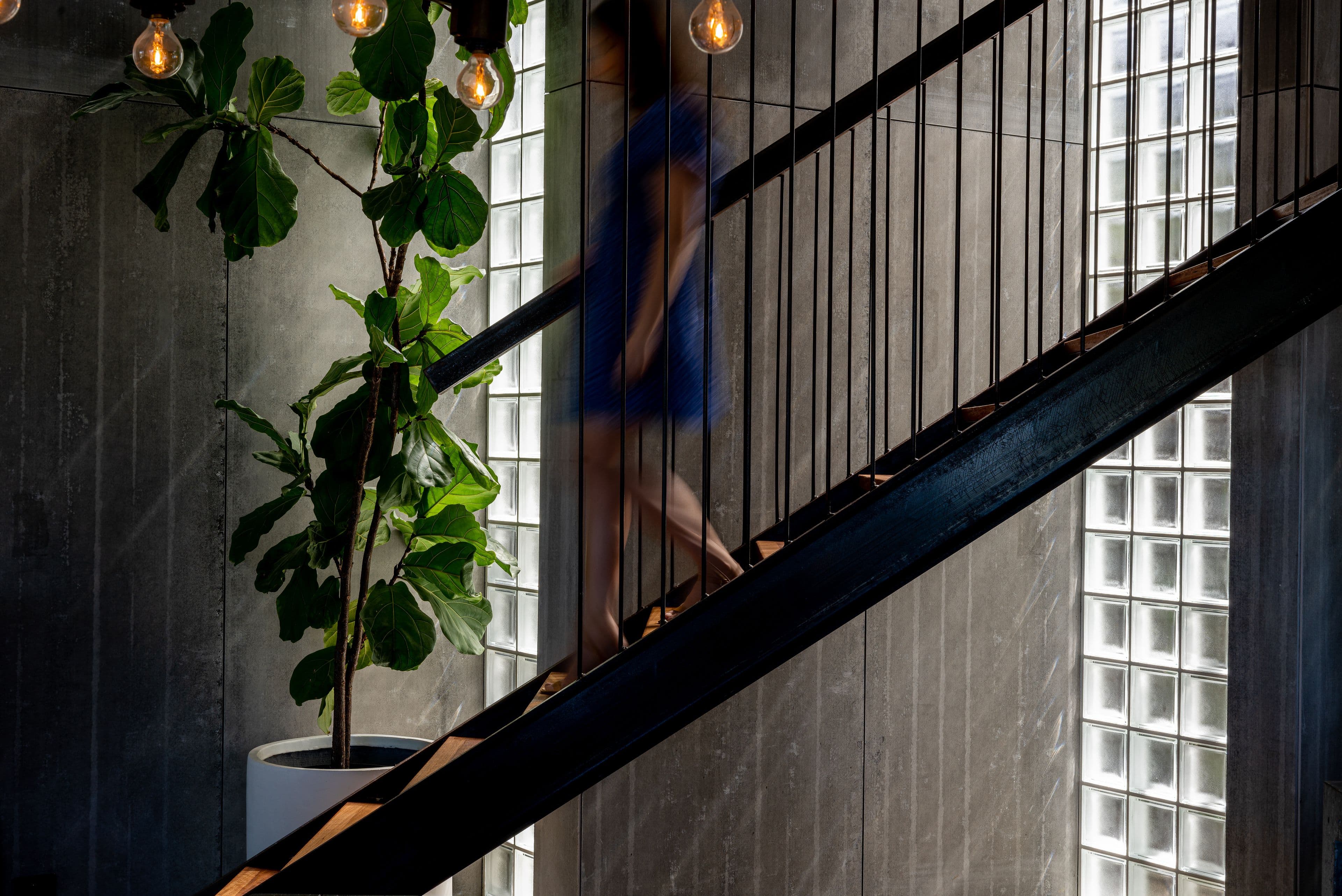 6 Young Street, Coledale NSW 2515, Coledale - Thumbnail 8
