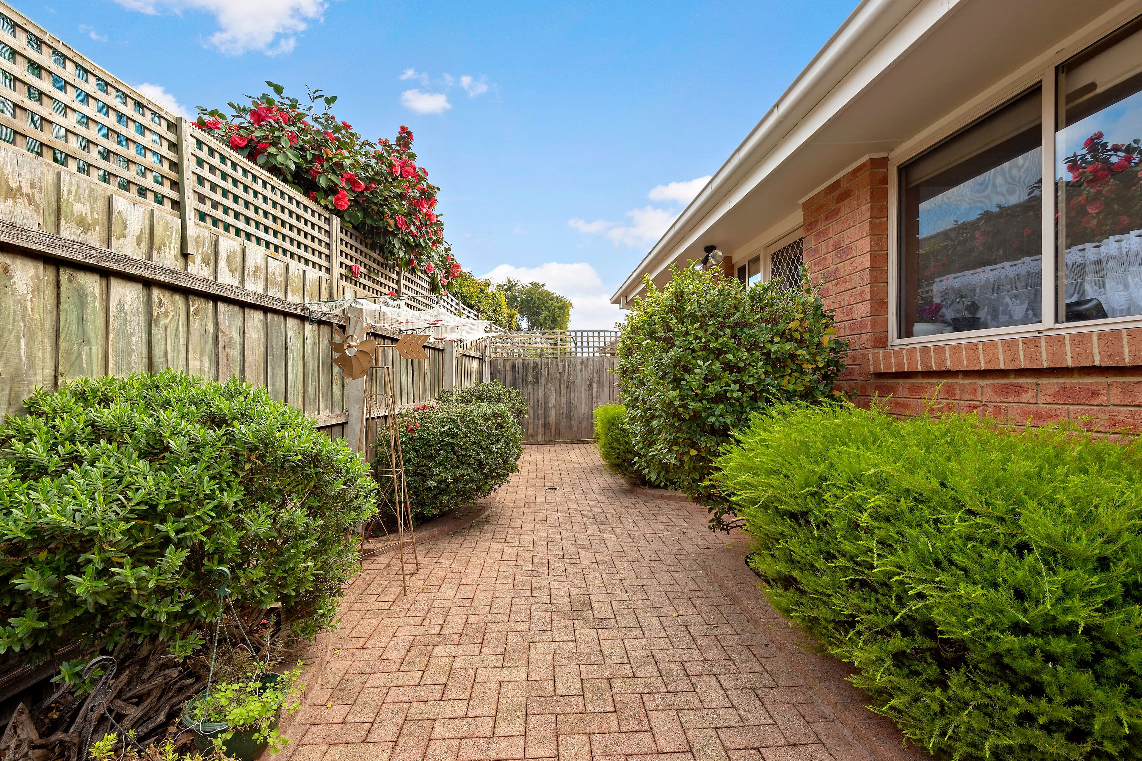 242 Cranbourne Road, Frankston VIC 3199, Frankston - Thumbnail 8