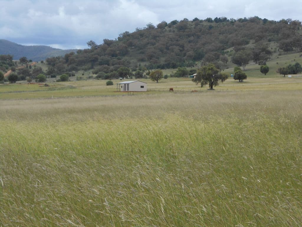 4 Honeyeater Place, MOORE CREEK NSW 2340, Moore Creek - Image 1