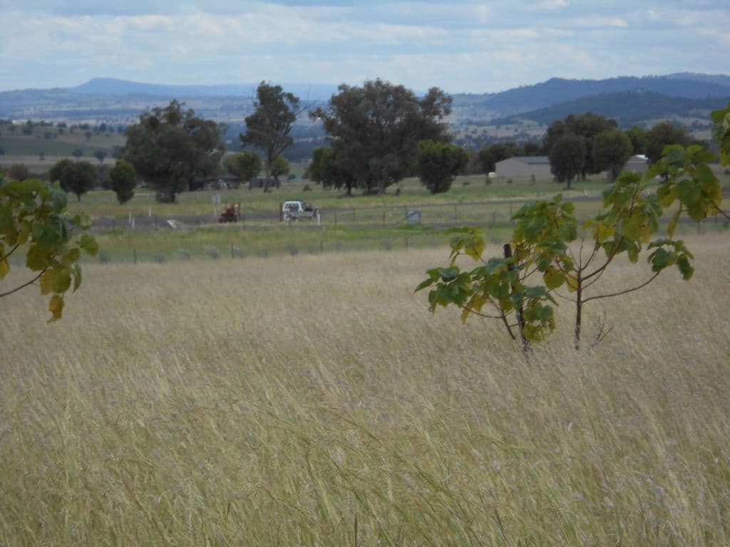 4 Honeyeater Place, MOORE CREEK NSW 2340, Moore Creek - Thumbnail 2