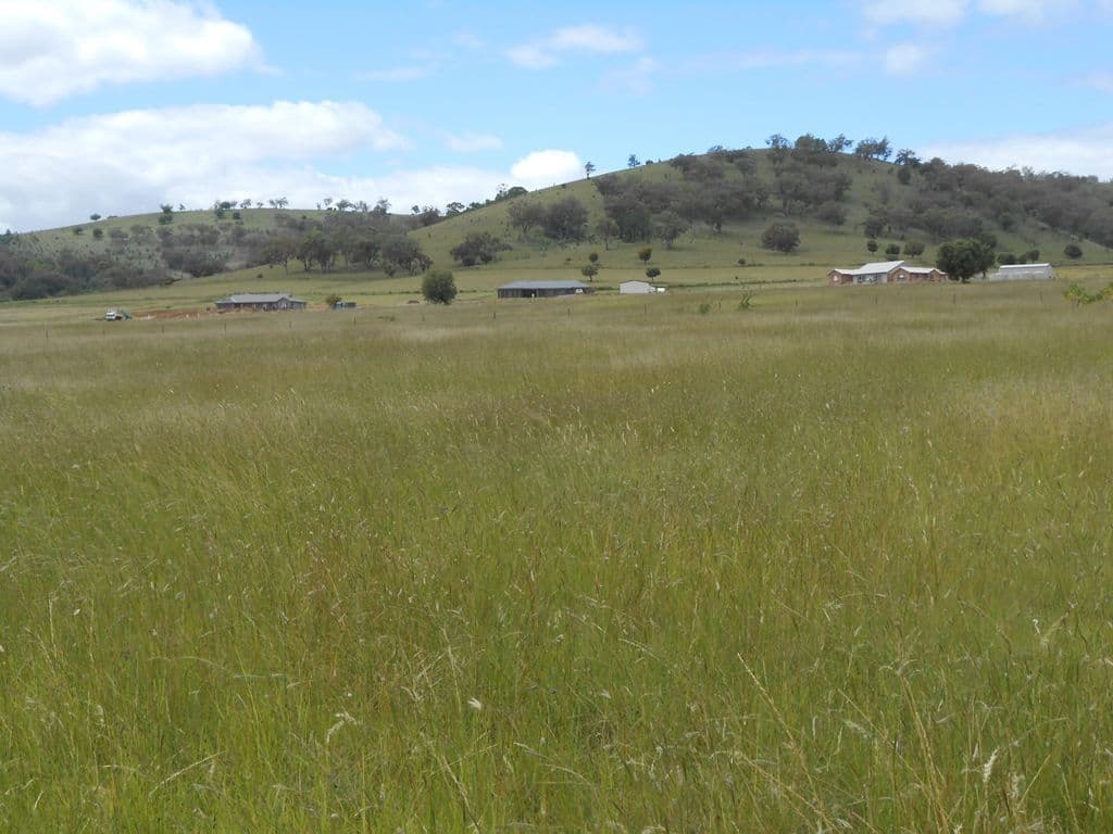 4 Honeyeater Place, MOORE CREEK NSW 2340, Moore Creek - Thumbnail 3