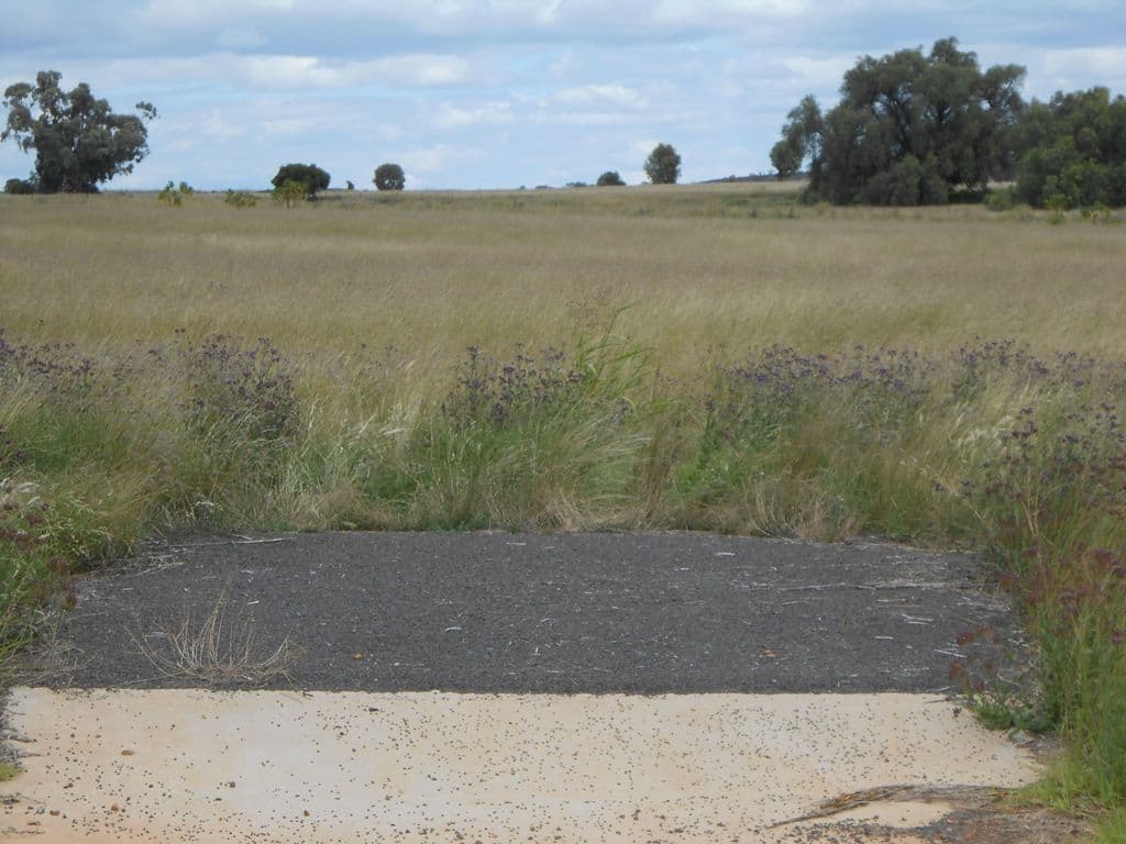 4 Honeyeater Place, MOORE CREEK NSW 2340, Moore Creek - Thumbnail 4