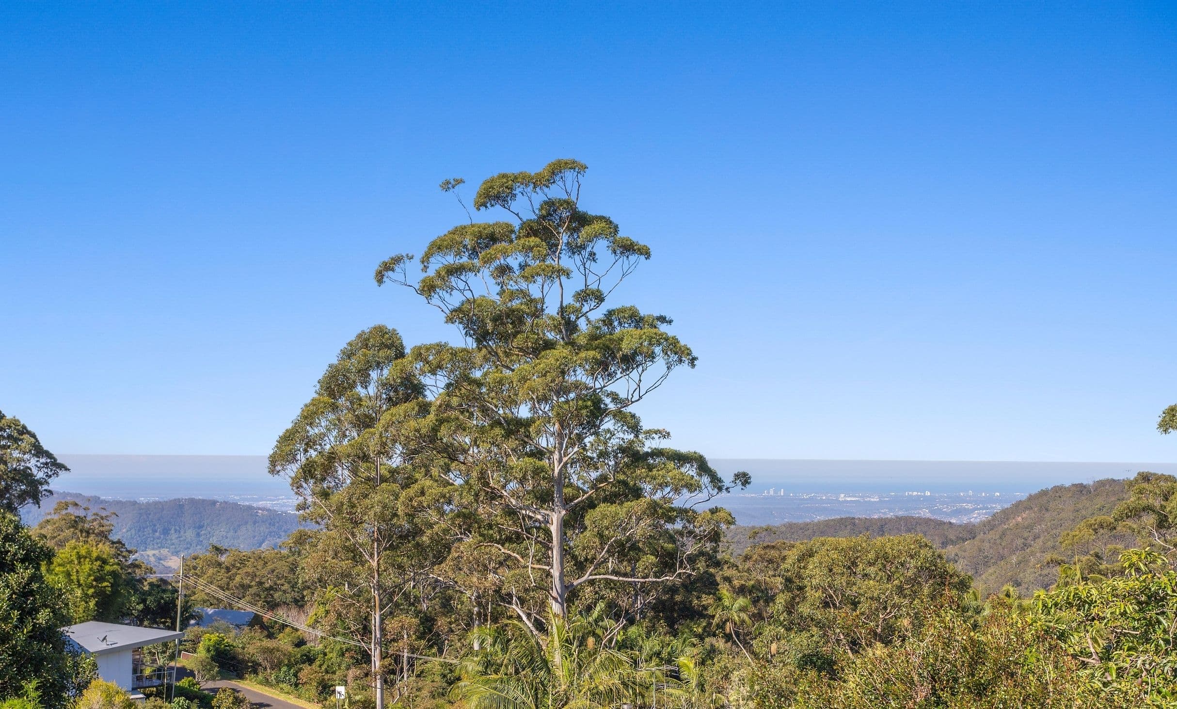 50 Paradise Drive, Tamborine Mountain QLD 4272, Tamborine Mountain - Thumbnail 2