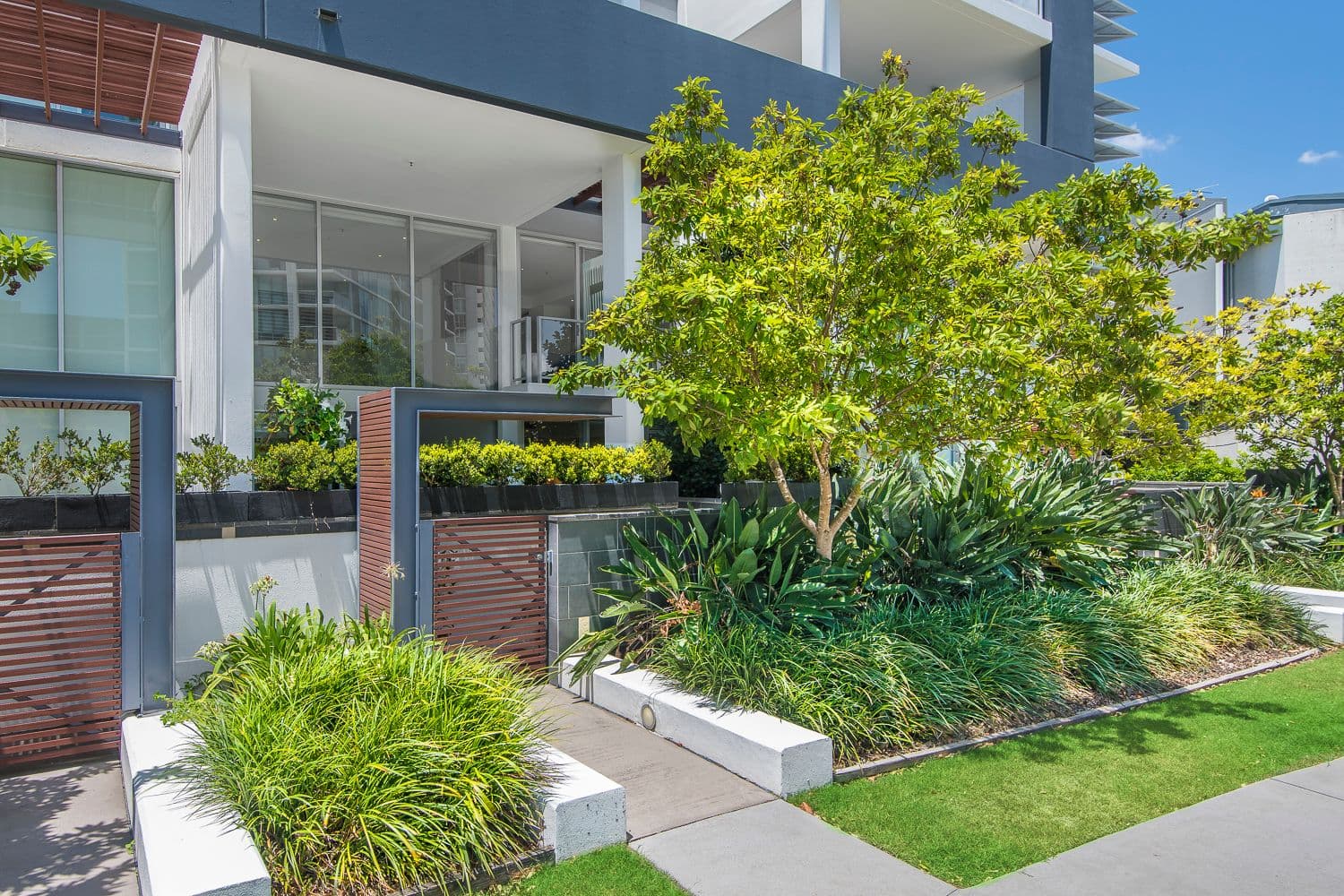 37 Harbour Road, Hamilton QLD 4007, Hamilton - Thumbnail 4