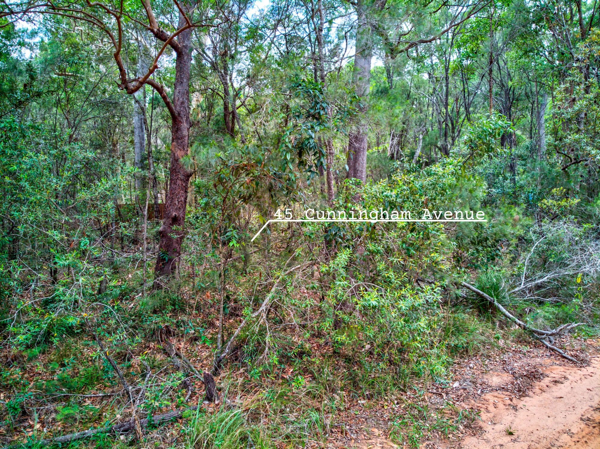 45 Cunnningham Avenue, Russell Island QLD 4184, Russell Island - Thumbnail 2