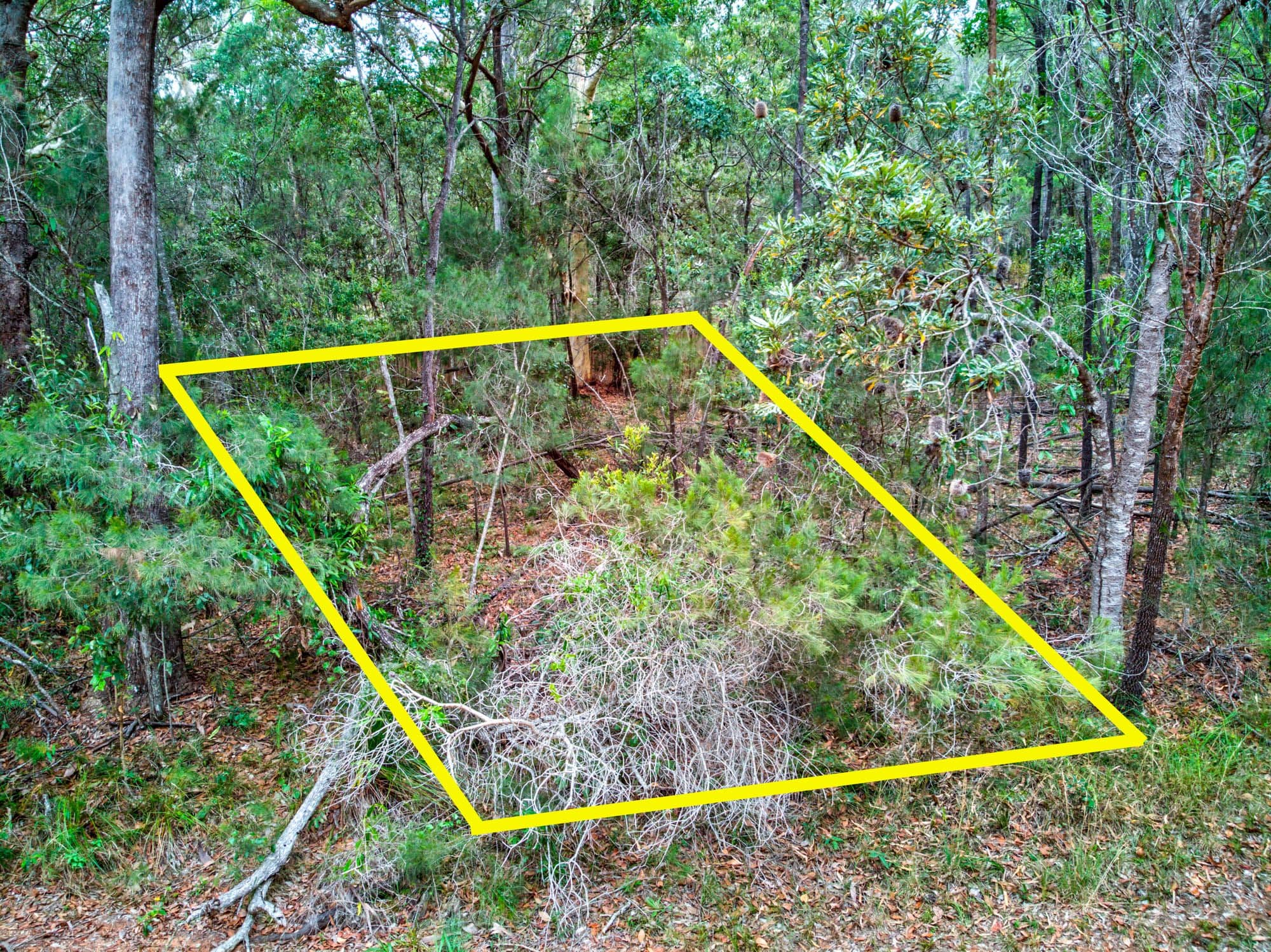 45 Cunnningham Avenue, Russell Island QLD 4184, Russell Island - Thumbnail 3