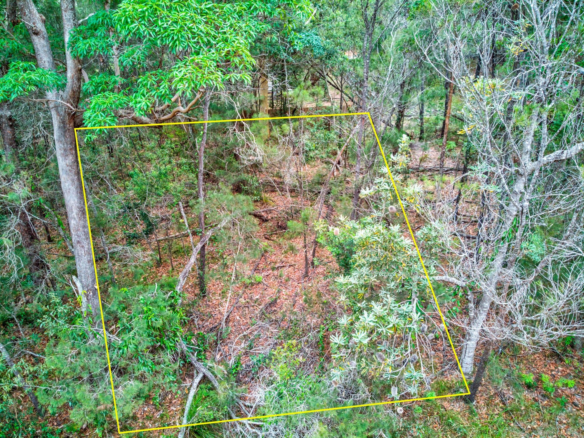 45 Cunnningham Avenue, Russell Island QLD 4184, Russell Island - Thumbnail 4