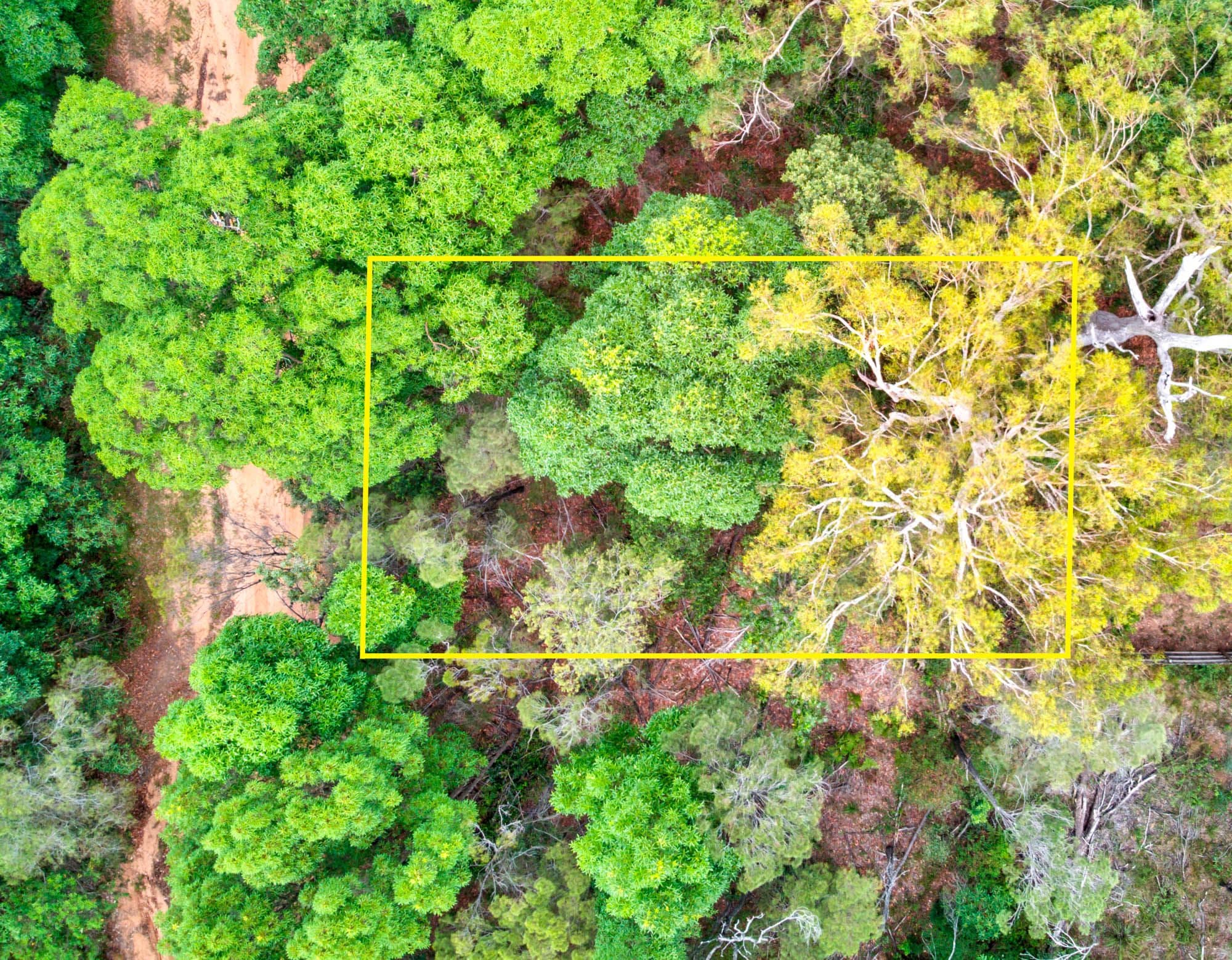 45 Cunnningham Avenue, Russell Island QLD 4184, Russell Island - Thumbnail 5