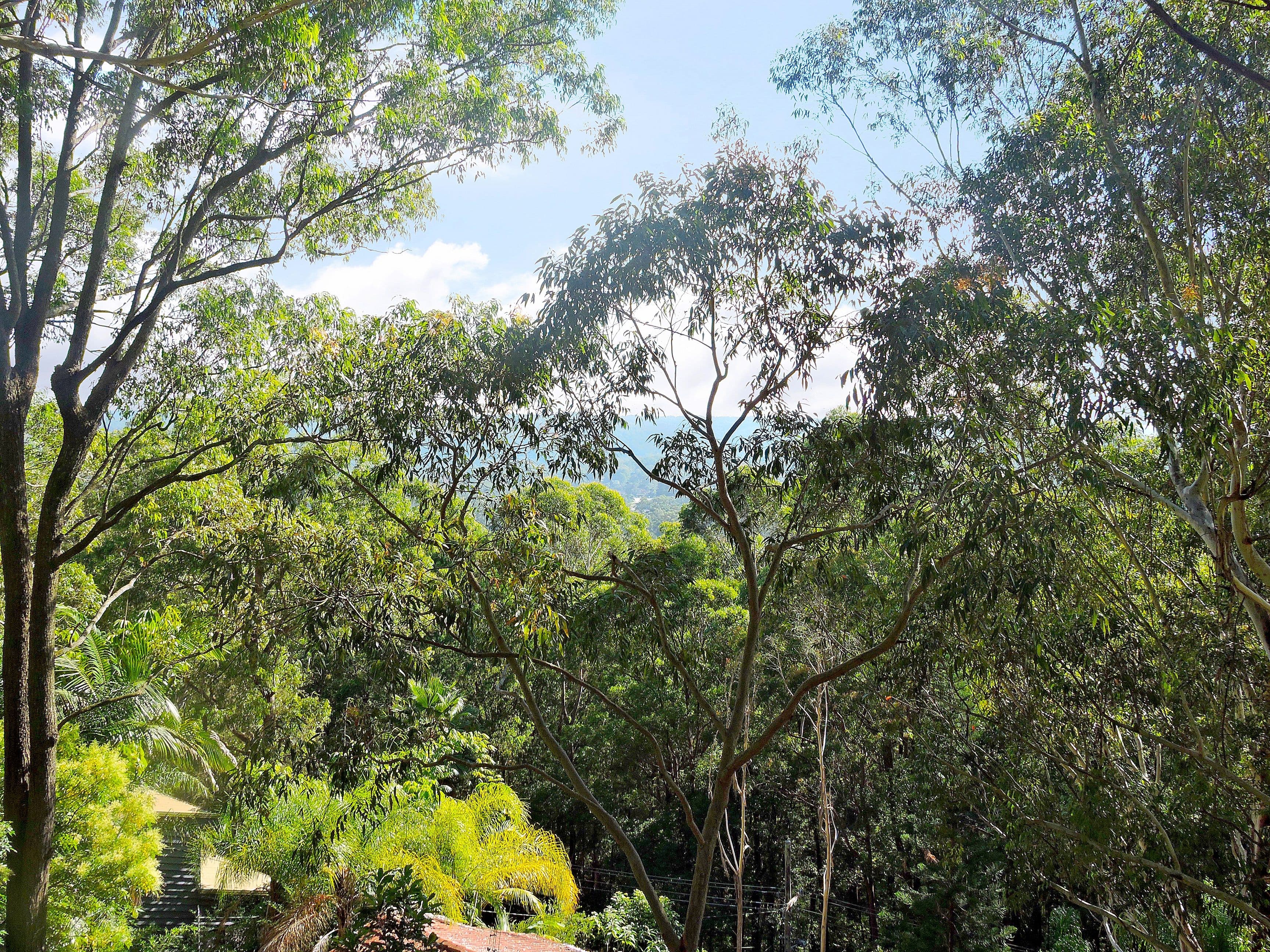 40 Plateau Road, North Gosford - Thumbnail 8