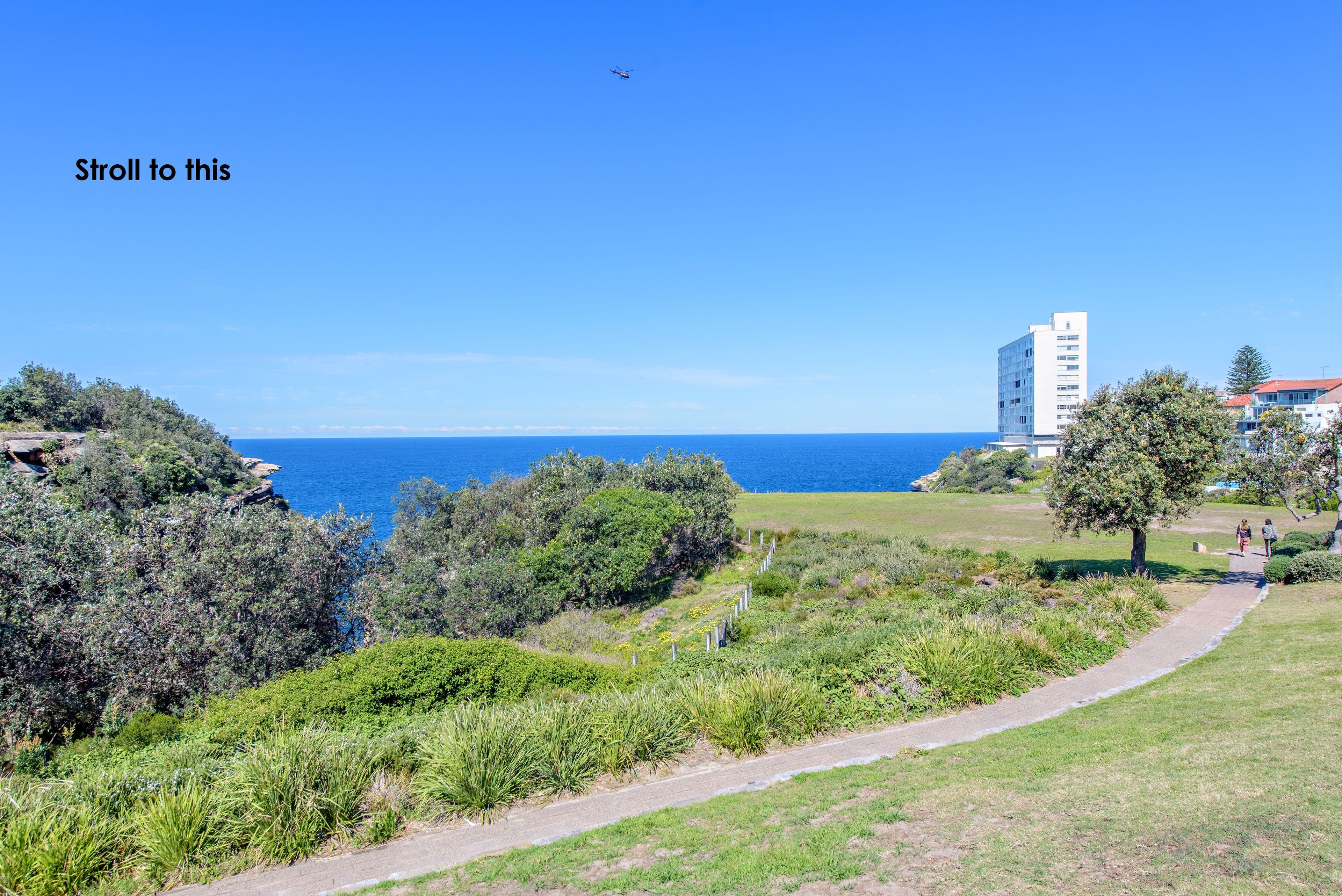 26 Tower Street, Vaucluse NSW 2030, Vaucluse - Thumbnail 3
