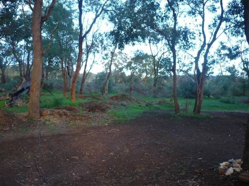 10 Summerfield Place, GOOSEBERRY HILL WA 6076, Gooseberry Hill - Thumbnail 8
