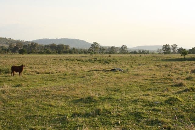 13 Mt French Road, BOONAH QLD 4310, Boonah - Thumbnail 2