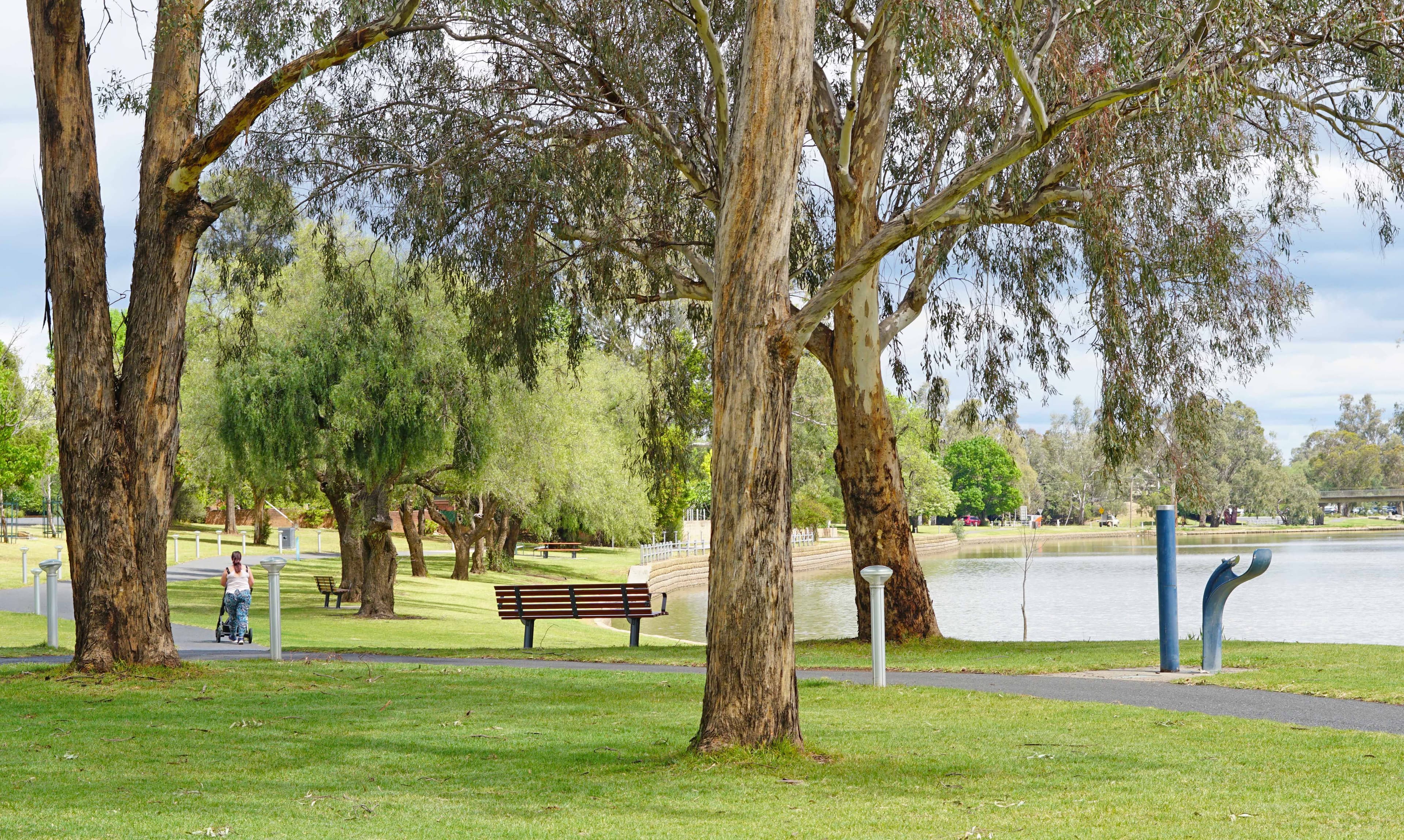 46 Hill Street, Forbes NSW 2871, Forbes - Thumbnail 4