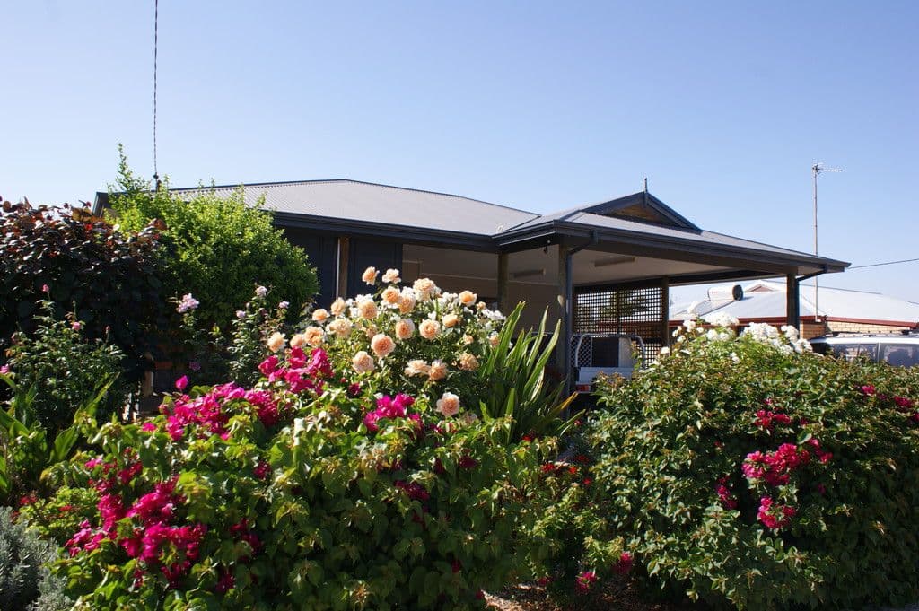4 Short Street, Dongara WA 6525, Dongara - Thumbnail 5