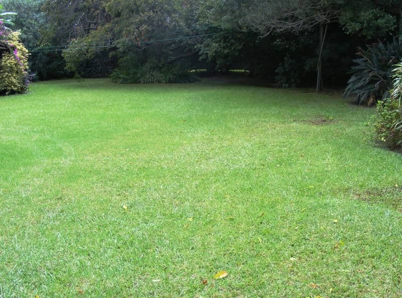 20 Soudan Street, FAIRY MEADOW NSW 2519, Fairy Meadow - Thumbnail 4