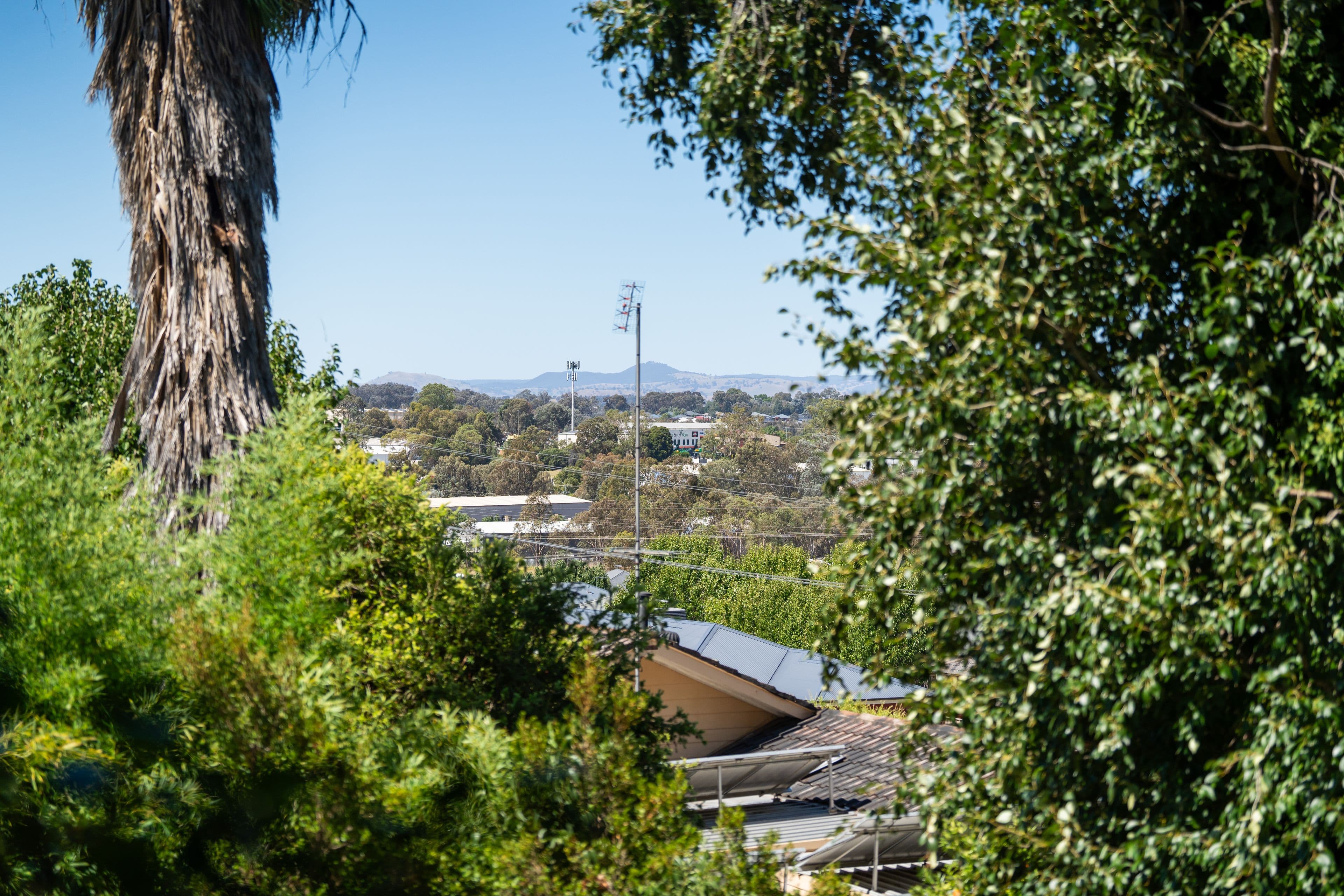 264 Desmond Street, Lavington NSW 2641, Lavington - Thumbnail 7