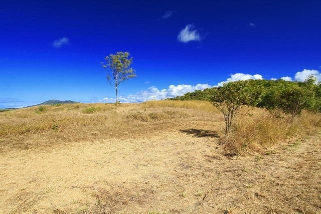 Lot  4 Woodbine Road, Bungundarra QLD 4703, Bungundarra - Thumbnail 7