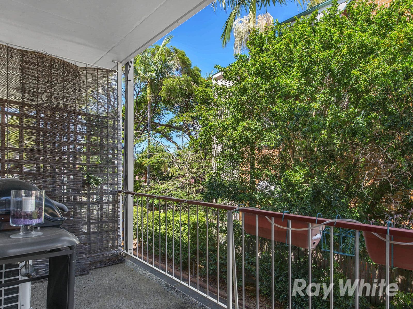 9 Cameron Street, Nundah QLD 4012, Nundah - Thumbnail 6