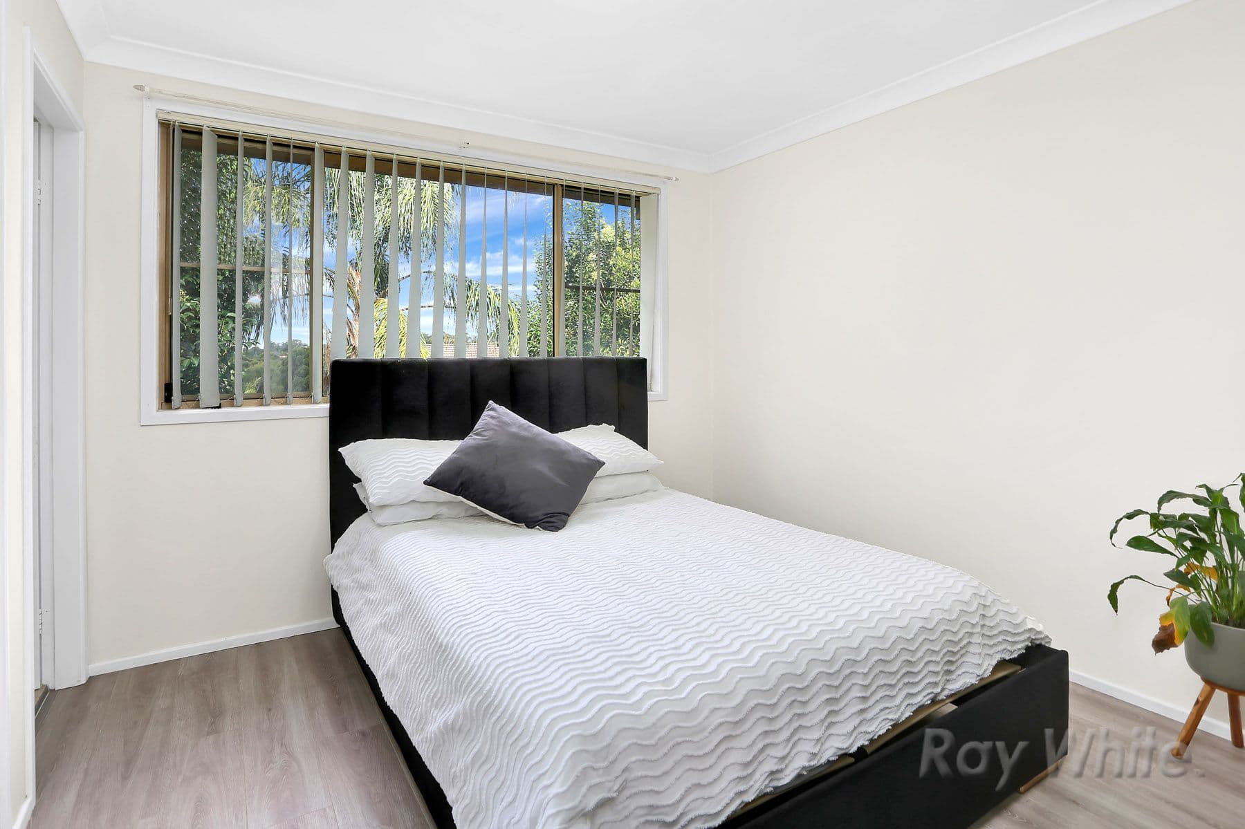 45 Bungarribee Road, Blacktown NSW 2148, Blacktown - Thumbnail 4