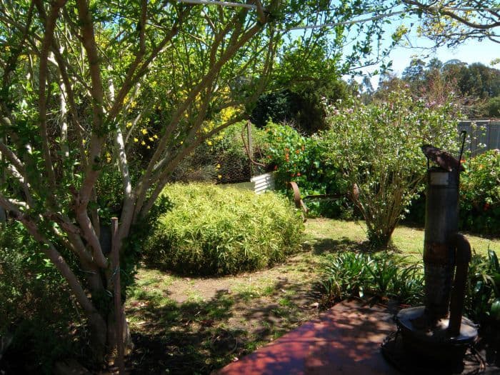 16 Adam Street, Nannup WA 6275, Nannup - Thumbnail 2
