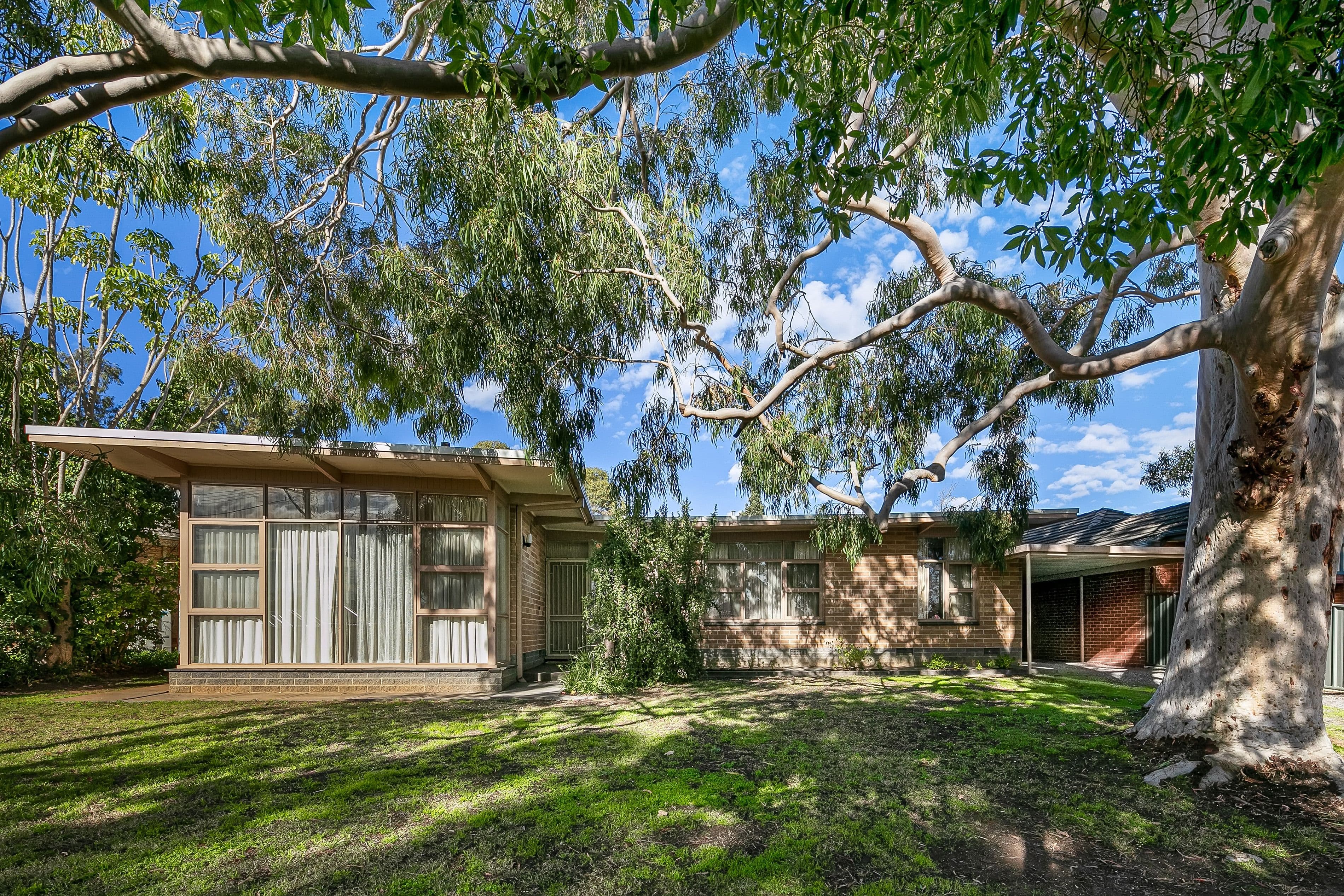 28 Maurice Avenue, Rostrevor SA 5073, Rostrevor - Thumbnail 3