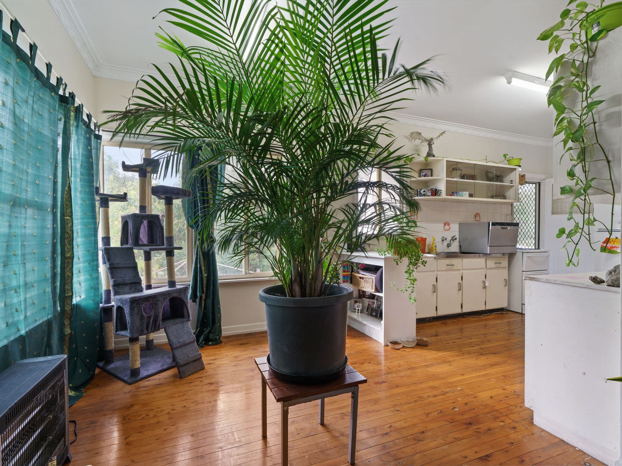 9 Kelly Court, Esk QLD 4312, Esk - Thumbnail 3