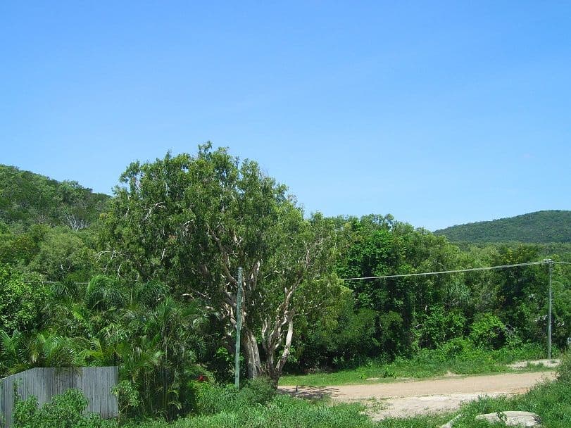 69 May Street, Cooktown QLD 4895, Cooktown - Thumbnail 6