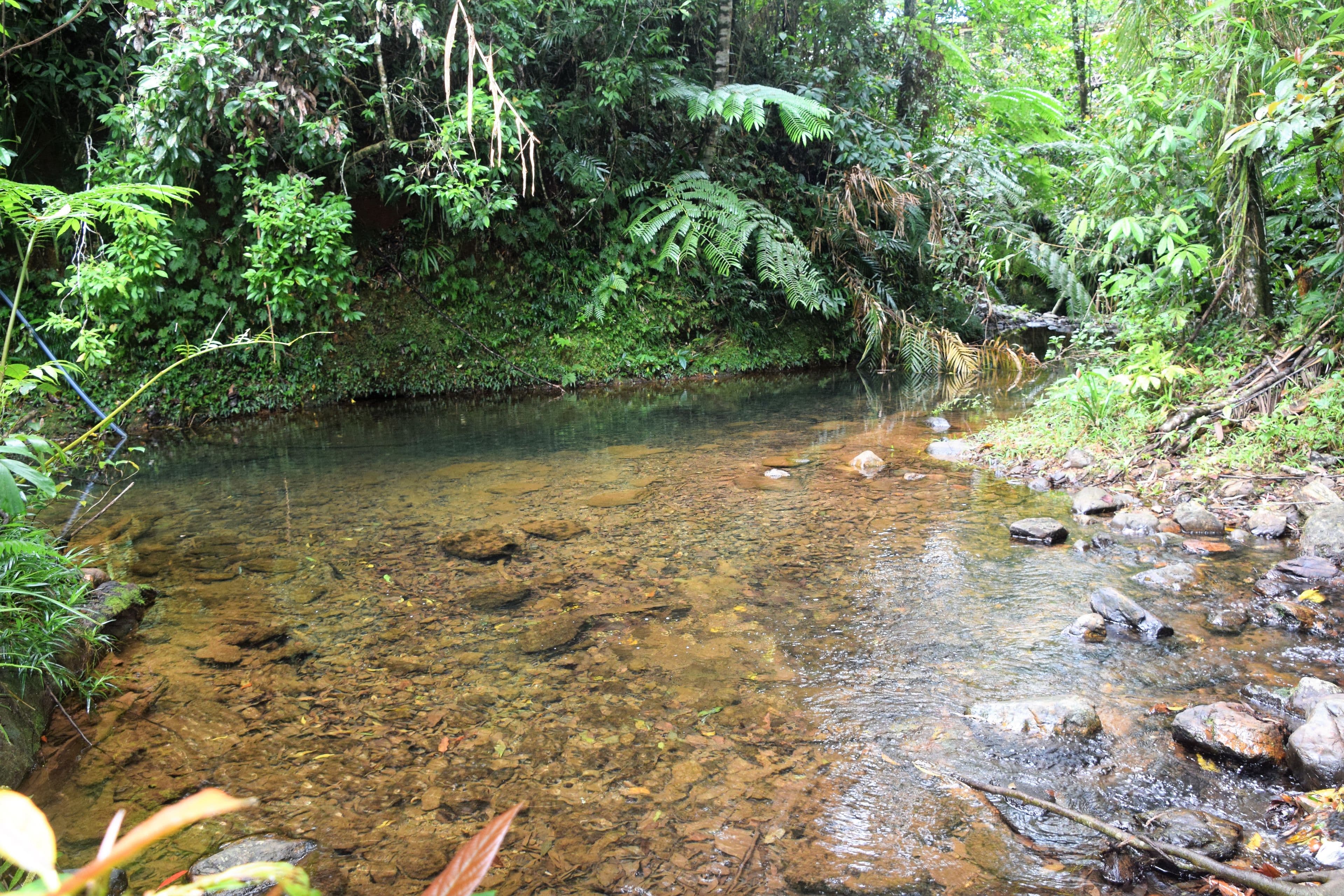 Cow Bay QLD 4873, Cow Bay - Image 1