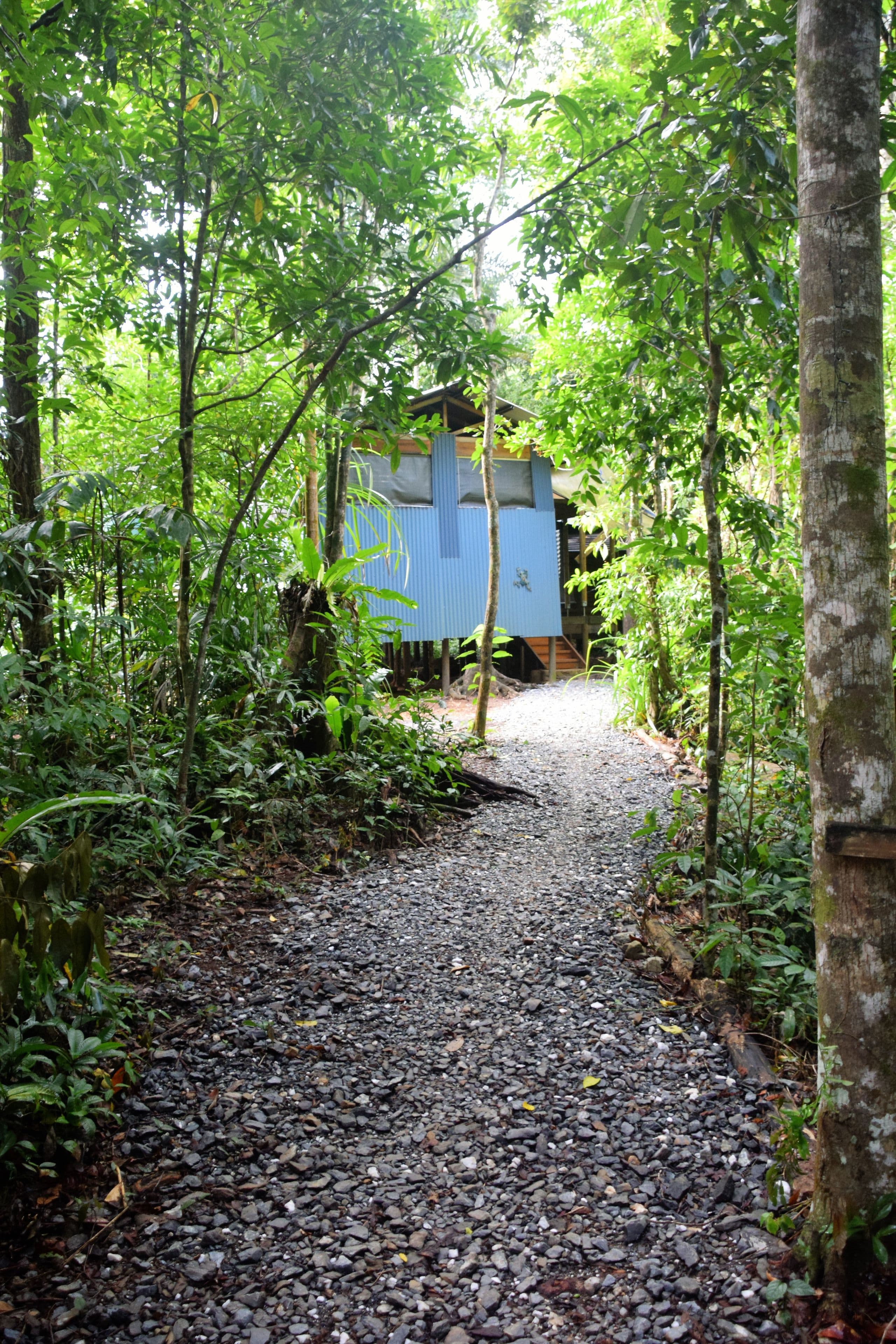 Cow Bay QLD 4873, Cow Bay - Thumbnail 7