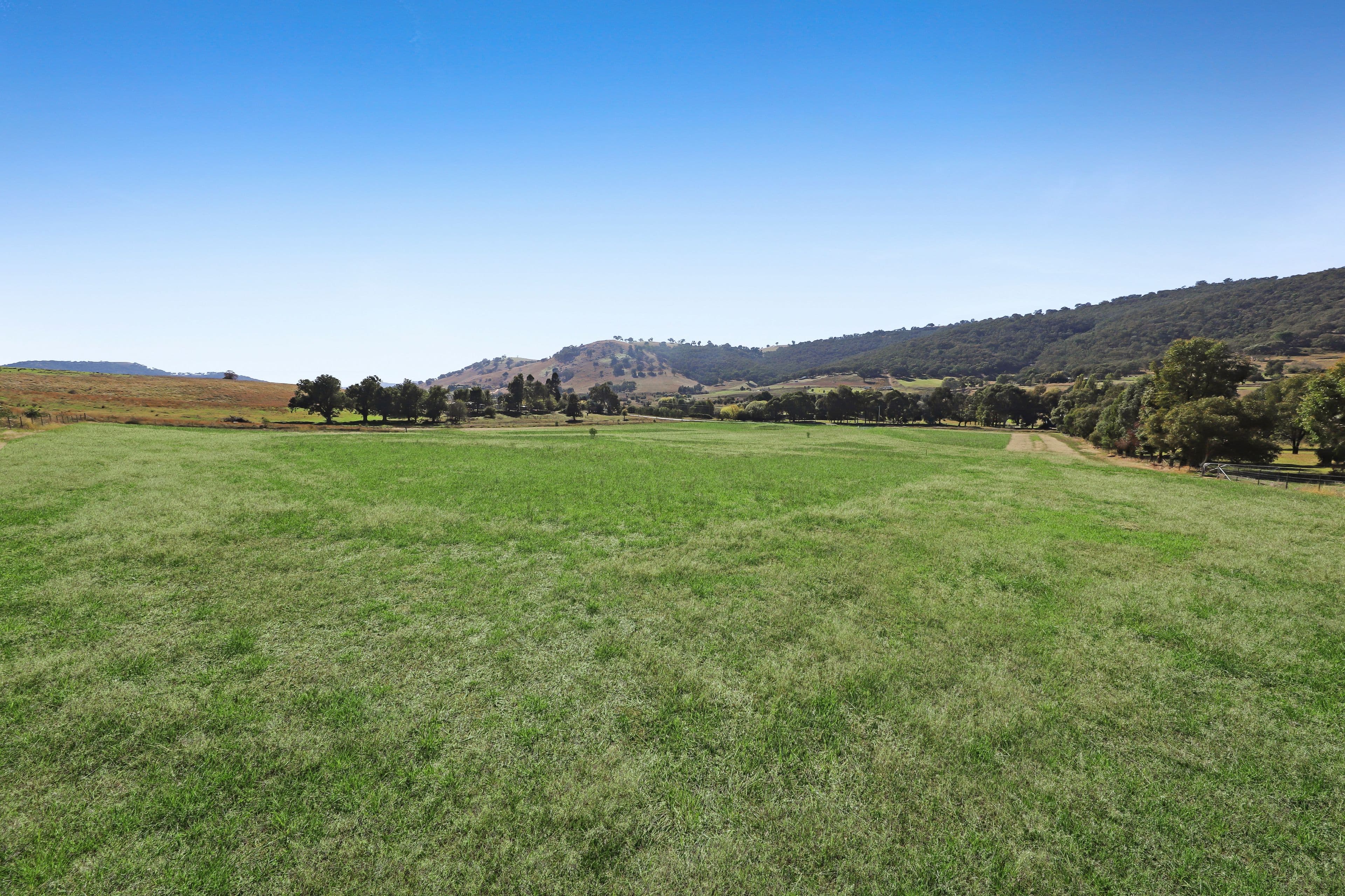 Part 443 Grahamstown Road, Adelong NSW 2729, Adelong - Thumbnail 4