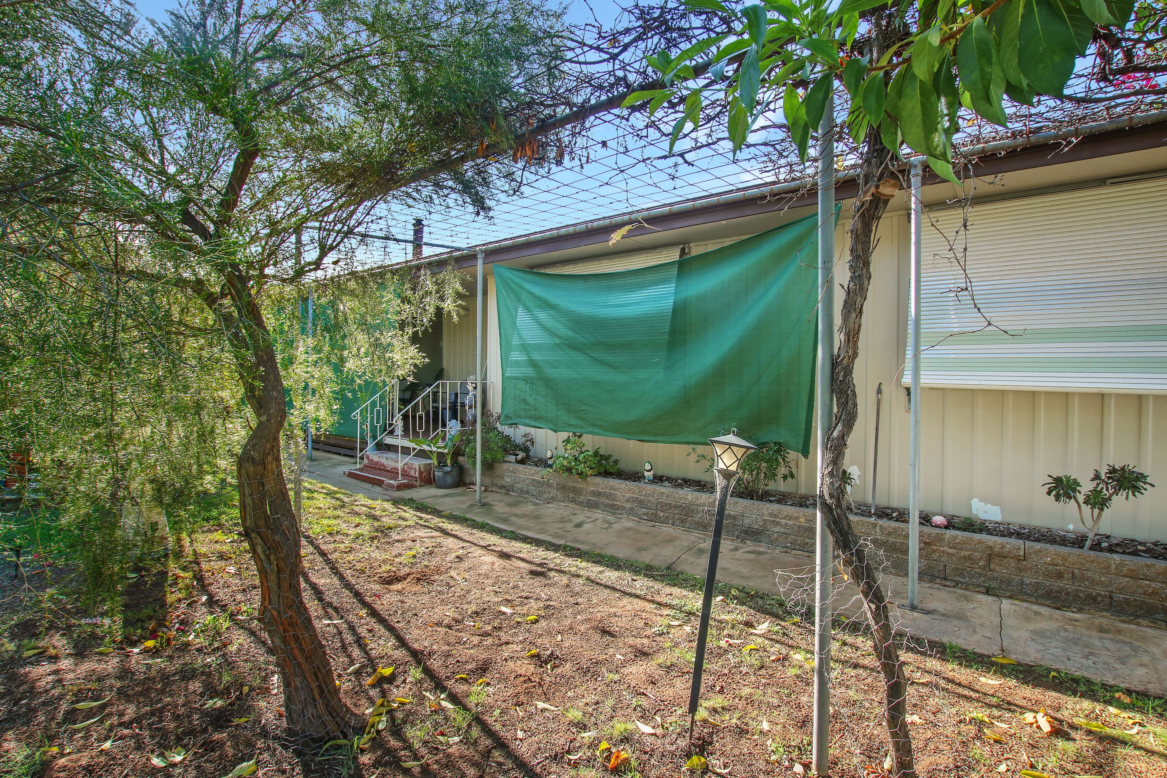 3 Strangman Road, Waikerie SA 5330, Waikerie - Thumbnail 3