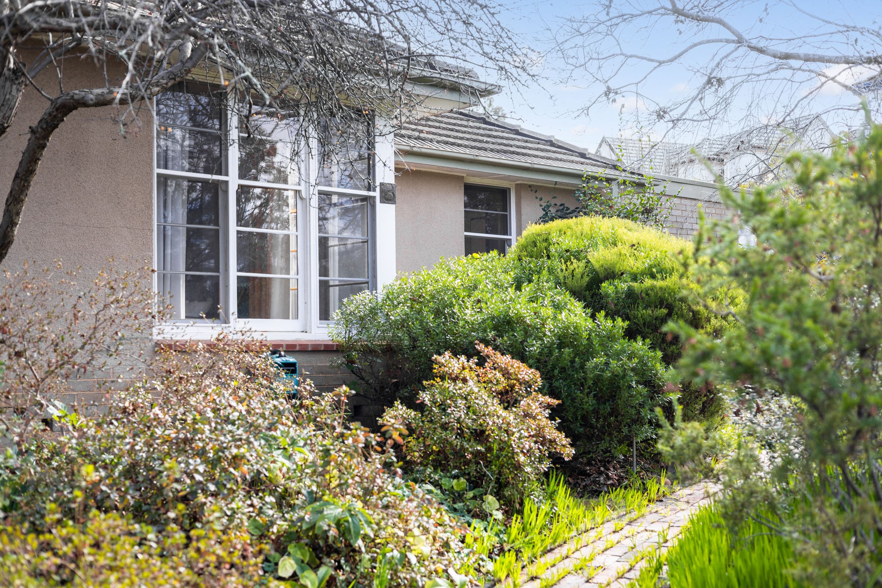 3 Greenhood Place, O'Connor ACT 2602, O'Connor - Image 1