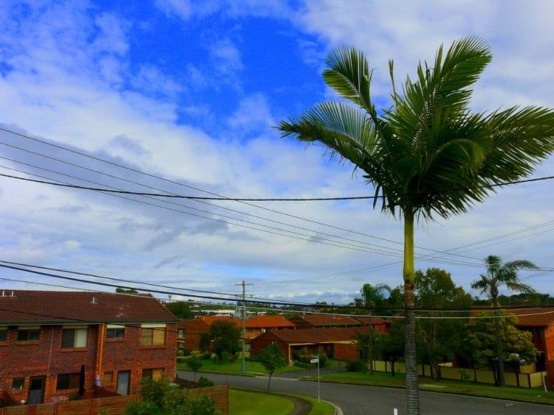 33 Tolverne Street, ROCHEDALE SOUTH QLD 4123, Rochedale South - Thumbnail 8