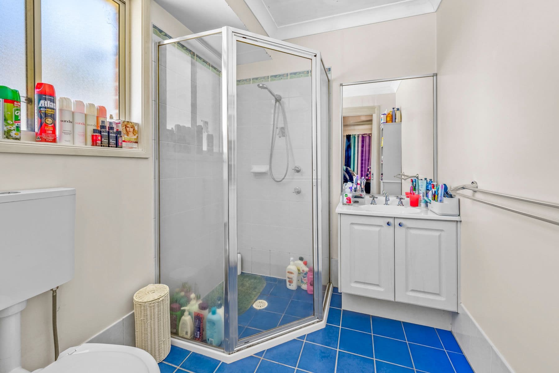 15 Julindur Road, Cameron Park NSW 2285, Cameron Park - Thumbnail 8