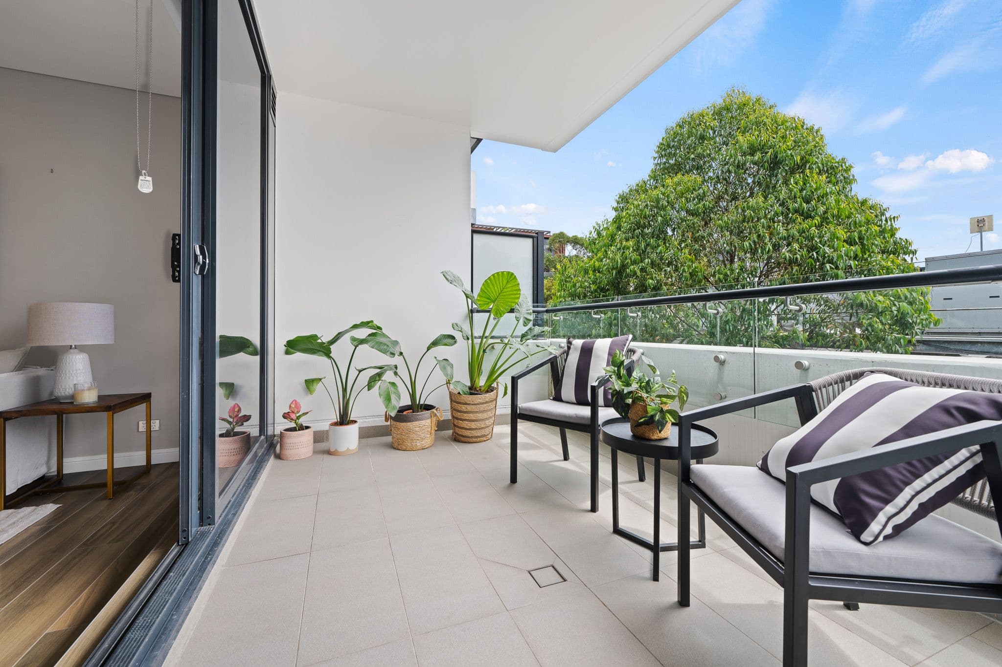 42 Rosebery Avenue, Rosebery NSW 2018, Rosebery - Thumbnail 8