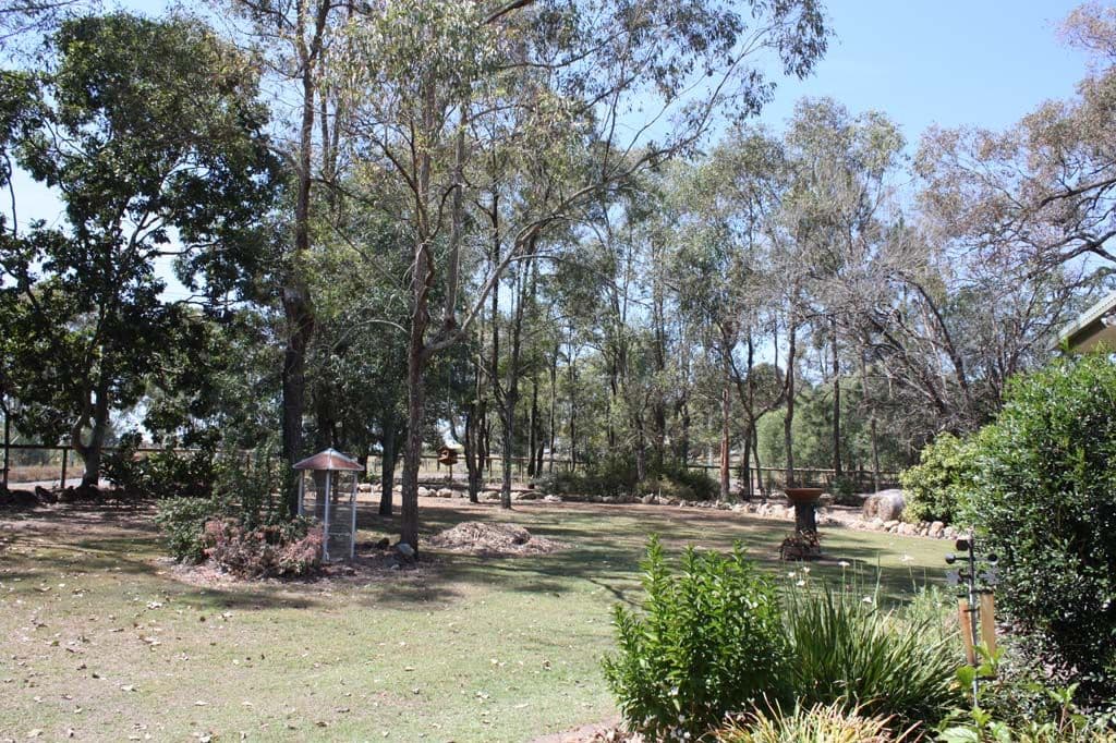 185 Cedar Vale Road, CEDAR VALE QLD 4285, Cedar Vale - Thumbnail 2