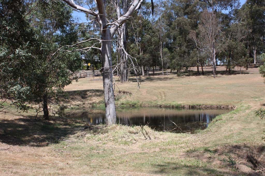 185 Cedar Vale Road, CEDAR VALE QLD 4285, Cedar Vale - Thumbnail 3