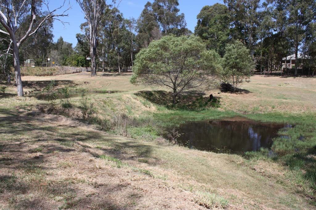 185 Cedar Vale Road, CEDAR VALE QLD 4285, Cedar Vale - Thumbnail 4