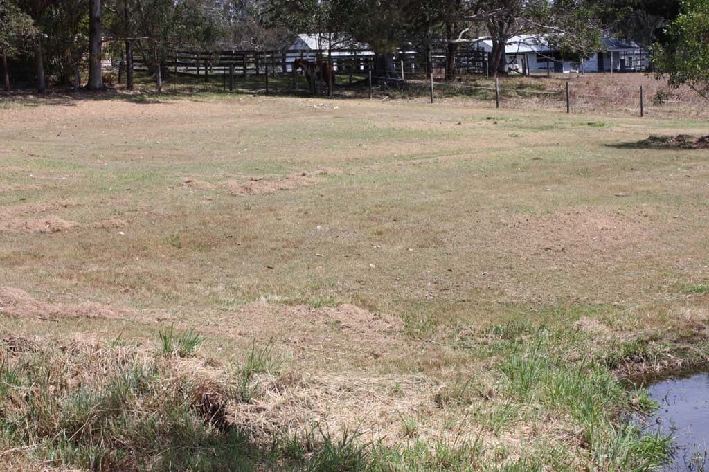 185 Cedar Vale Road, CEDAR VALE QLD 4285, Cedar Vale - Thumbnail 5