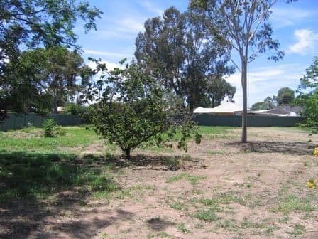 184 Adams Street, COROWA NSW 2646, Corowa - Thumbnail 2